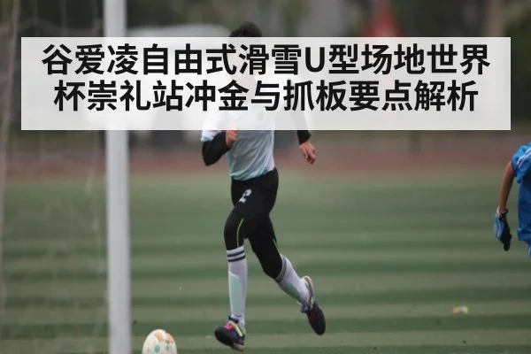 谷爱凌自由式滑雪U型场地世界杯崇礼站冲金与抓板要点解析