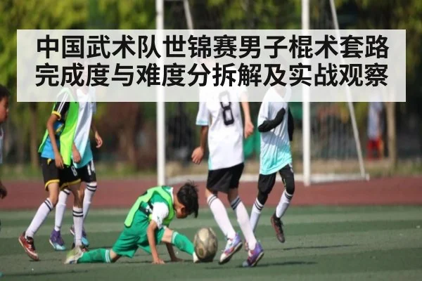 中国武术队世锦赛男子棍术套路完成度与难度分拆解及实战观察